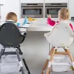 Seggiolone pappa per tavolo alto: quale scegliere?